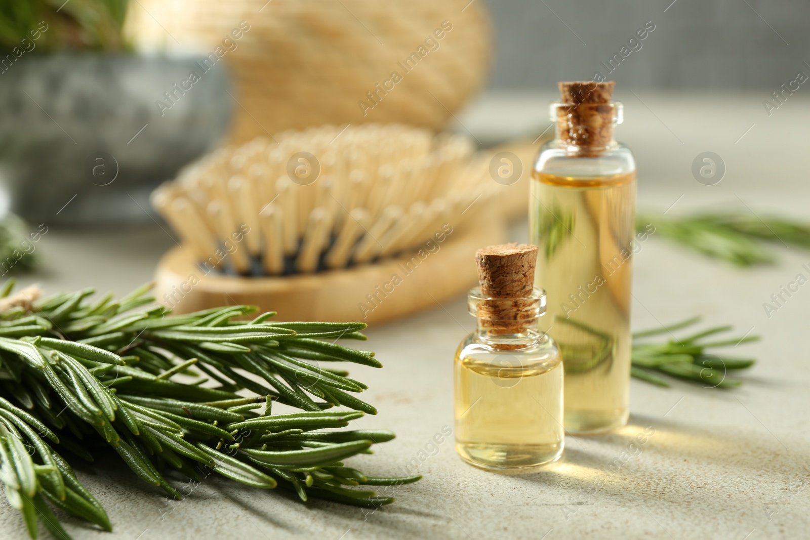 Photo of Essential oil in bottles and rosemary on light gray table, closeup