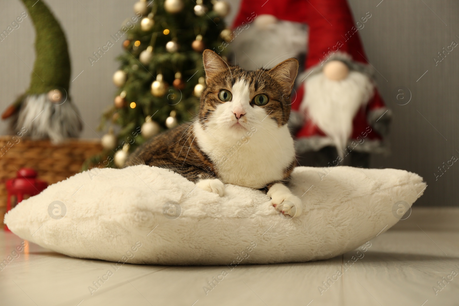 Photo of Cute cat lying on soft pillow near Christmas decor at home. Adorable pet