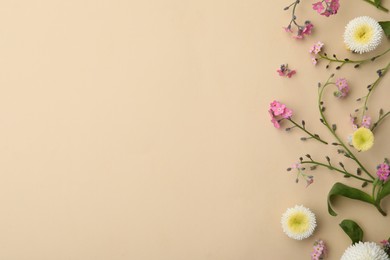 Photo of Beautiful composition with forget-me-not flowers on beige background, flat lay. Space for text