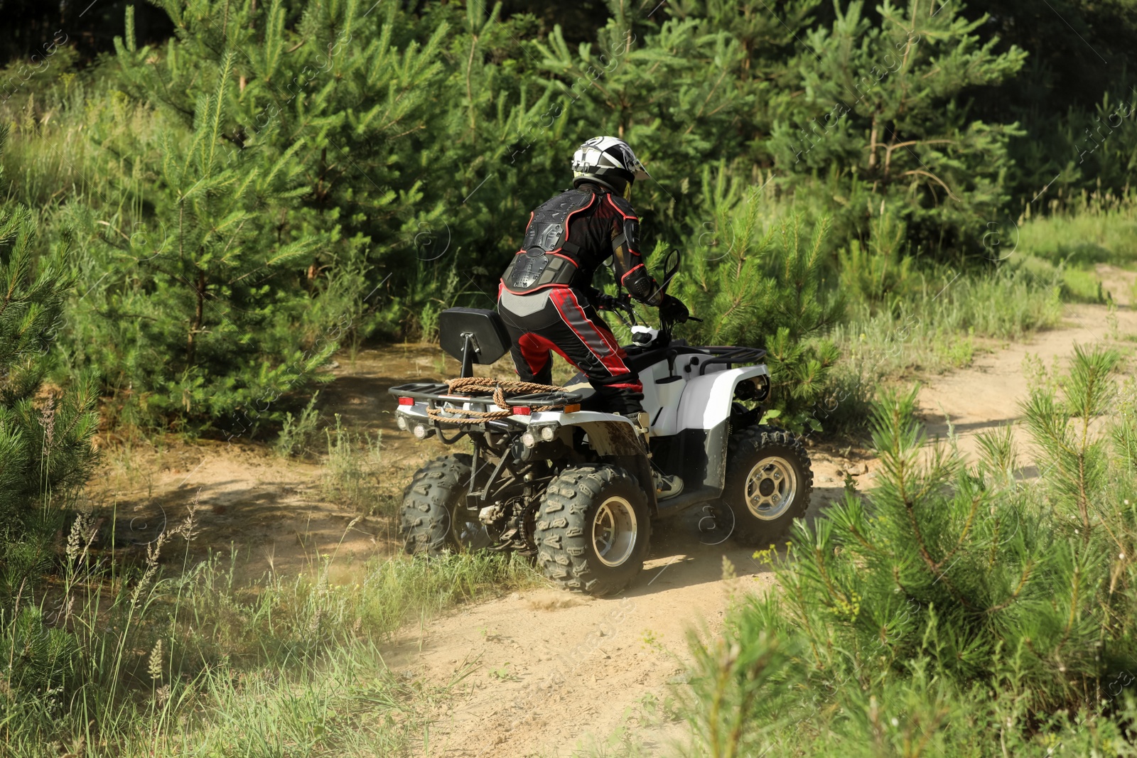 Photo of Man driving modern quad bike on sandy road near forest. Extreme sport