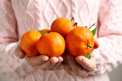 Woman holding pile of tangerines, closeup. Juicy citrus fruit