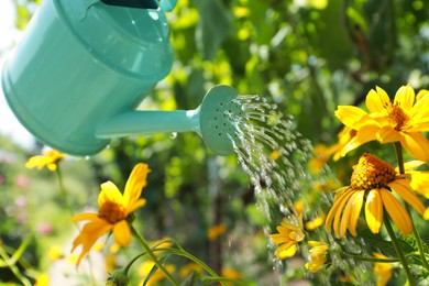 Photo of Sprinkling water onto flowers from watering can in beautiful garden, closeup