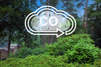 Image of Reduce CO2 emissions. Illustration of cloud with CO2 inscription, arrows and beautiful forest