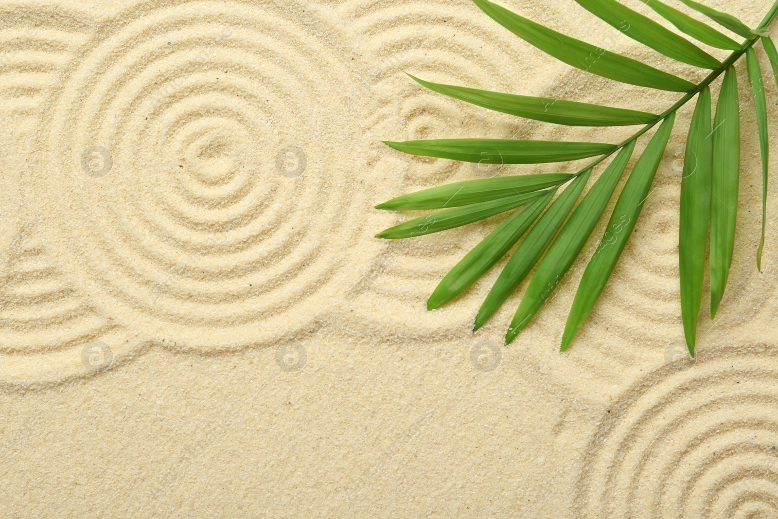 Photo of Zen rock garden. Circle patterns and green leaf on beige sand, top view