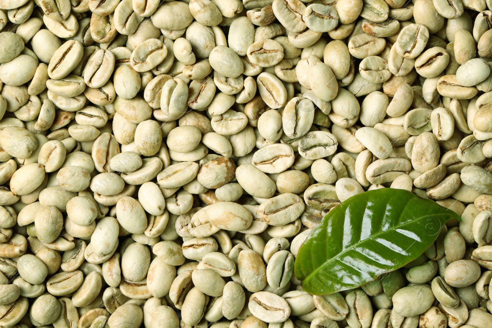 Photo of Green coffee beans and fresh leaf as background, top view