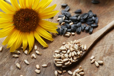 Photo of Sunflower seeds and flower on wooden table