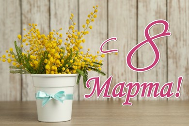 Image of Greeting card design. Bouquet of beautiful mimosa flowers on wooden table and text 8 March written in Russian