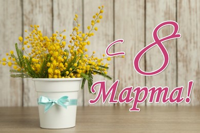 Greeting card design. Bouquet of beautiful mimosa flowers on wooden table and text 8 March written in Russian