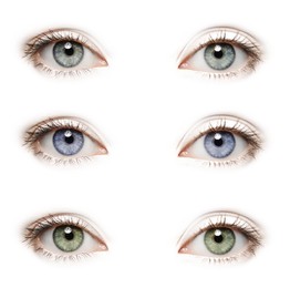 Image of Beautiful human eyes isolated on white, closeup. Collage