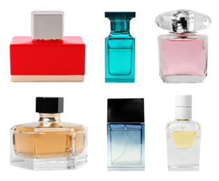 Image of Set with different bottles of perfume on white background
