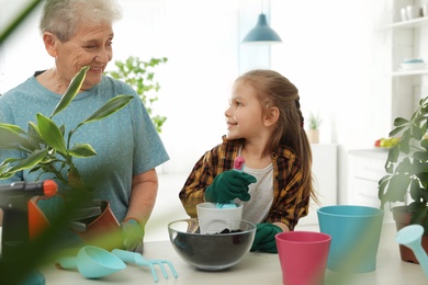 Photo of Little girl and her grandmother taking care of plants indoors