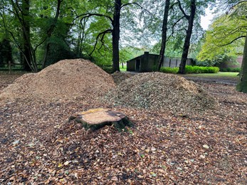 Photo of Heaps of stones, stump and trees in park