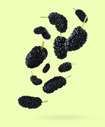 Fresh ripe black mulberries falling on light green background