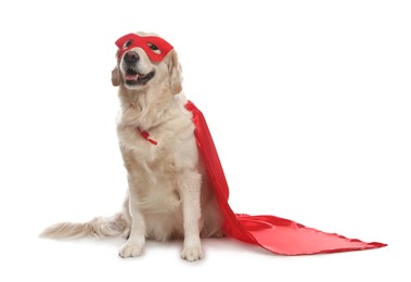 Photo of Adorable dog in red superhero cape and mask on white background
