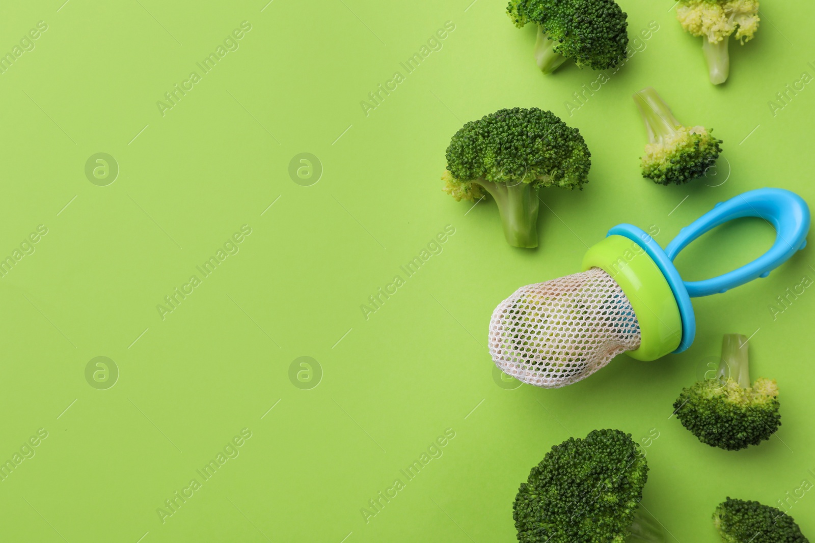 Photo of Nibbler with boiled broccoli on green background, flat lay. Space for text