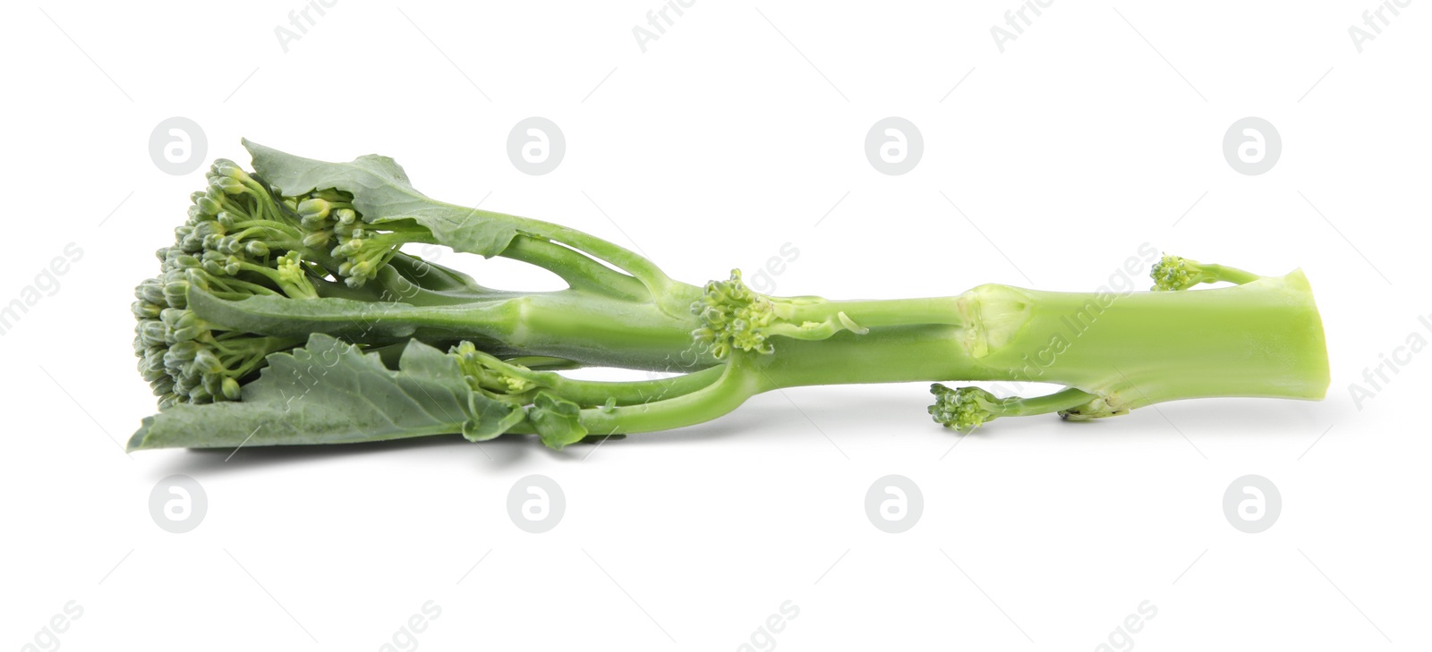 Photo of Fresh raw broccolini isolated on white. Healthy food