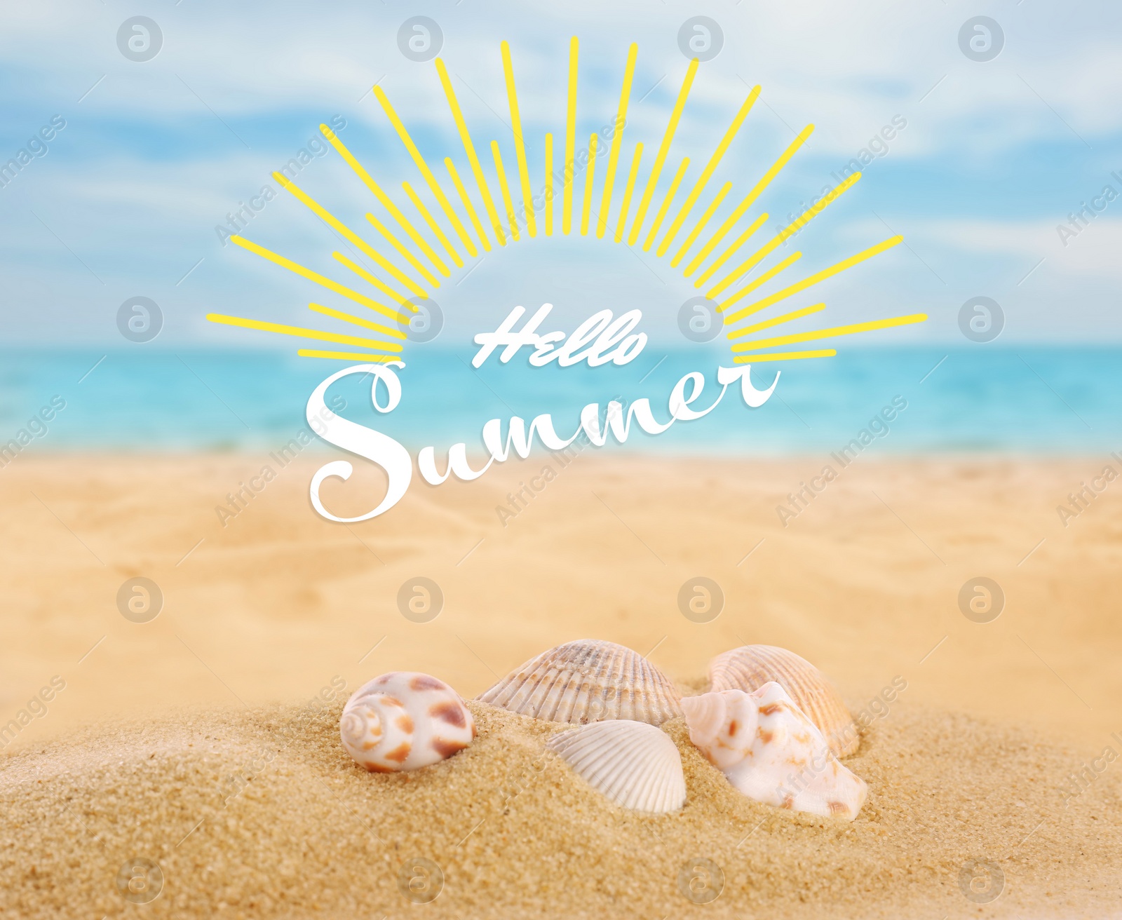 Image of Hello Summer. Beautiful sea shells on sandy beach