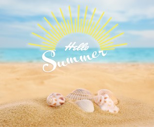 Image of Hello Summer. Beautiful sea shells on sandy beach