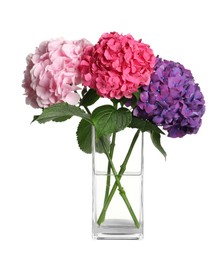 Photo of Bouquet with beautiful hortensia flowers isolated on white