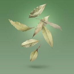 Image of Dry bay leaves falling on pale green gradient background