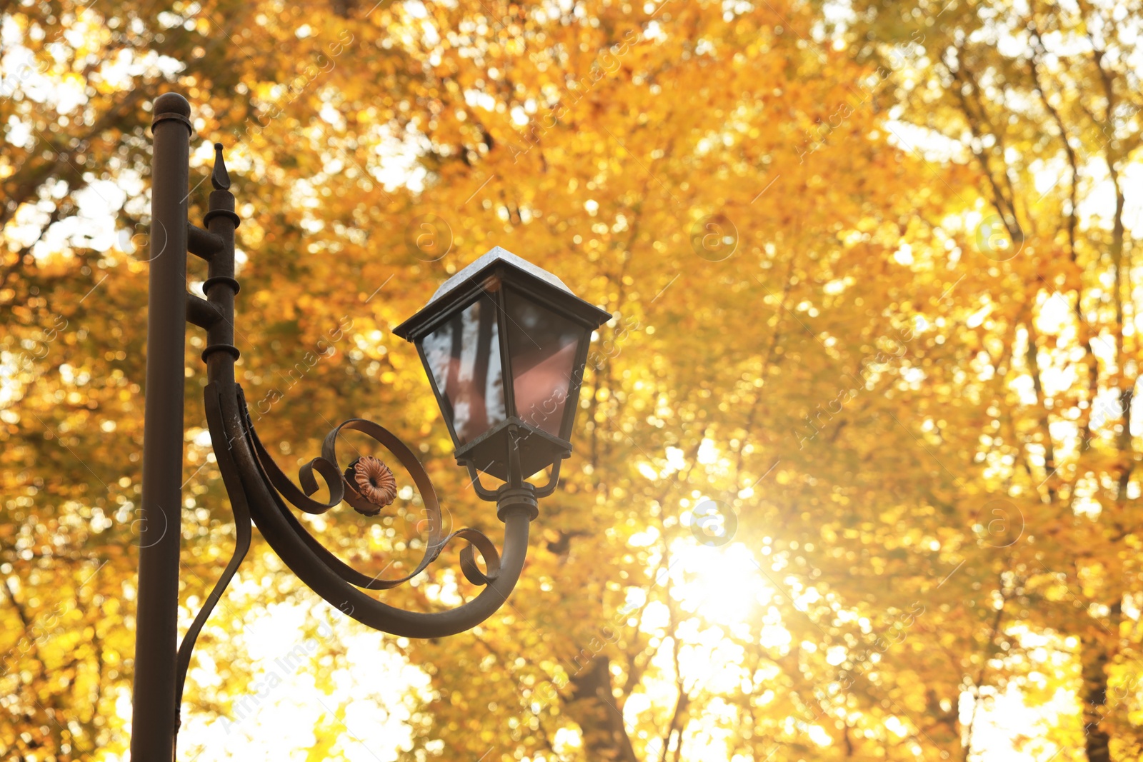 Photo of Outdoor vintage streetlight and yellowed trees in park on sunny day