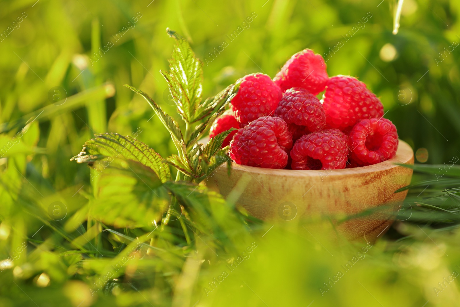 Photo of Tasty ripe raspberries in bowl on green grass outdoors, closeup