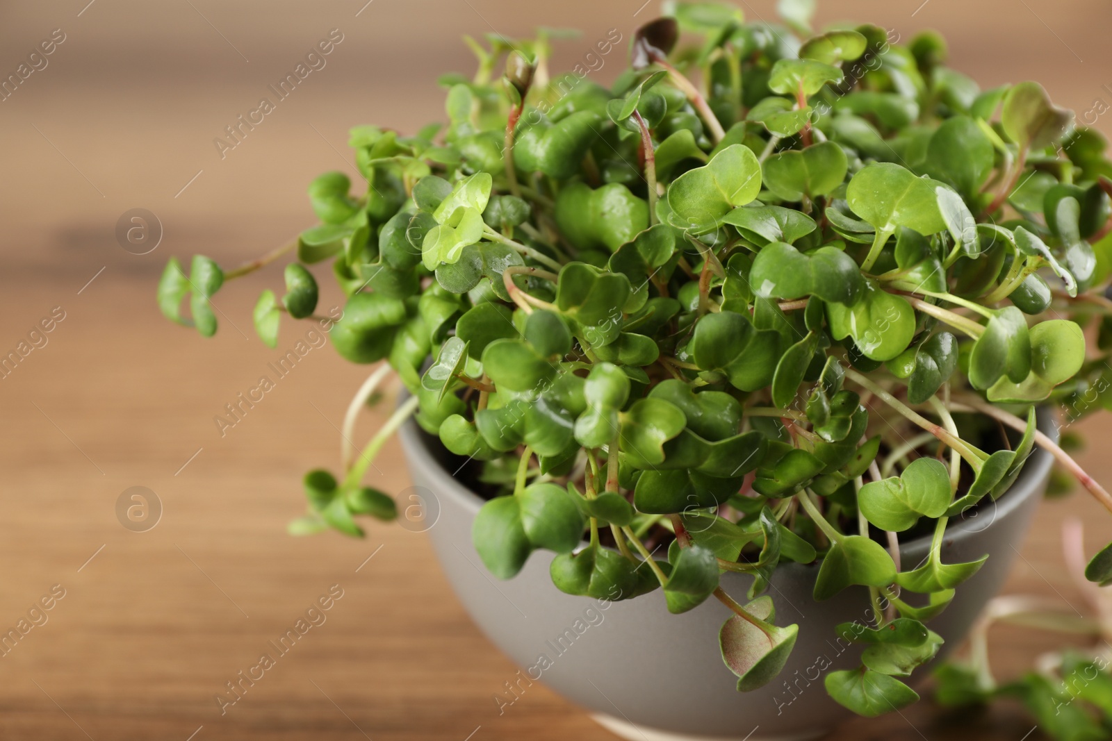 Photo of Fresh radish microgreens in bowl on wooden table, closeup. Space for text