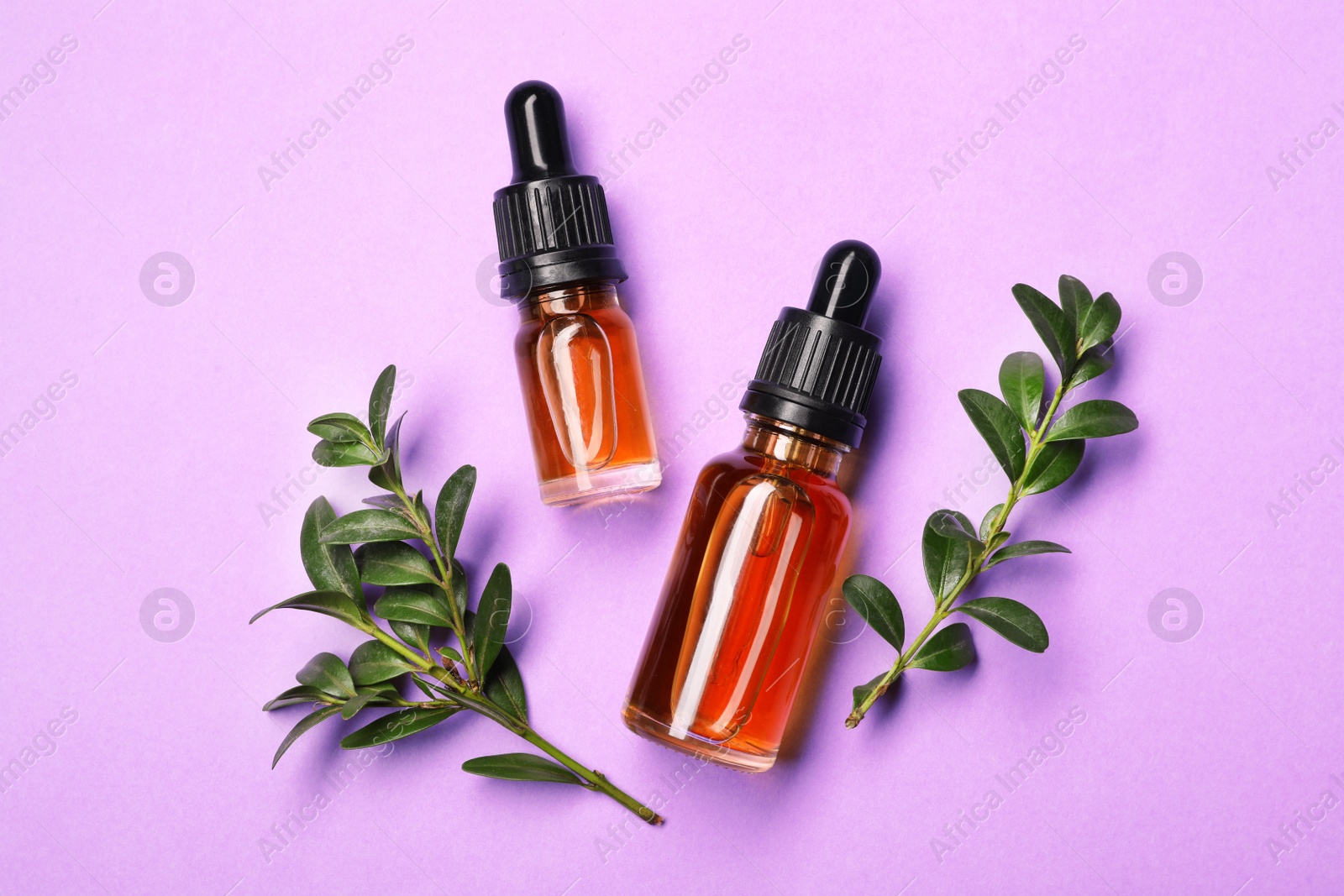 Photo of Flat lay composition with cosmetic bottles of essential oils on color background