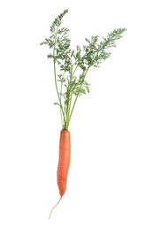 Tasty ripe juicy carrot isolated on white