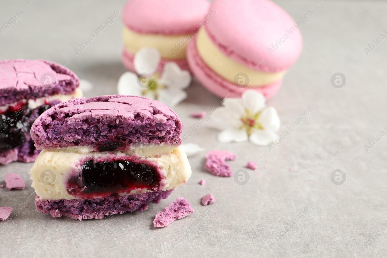 Photo of Halves of delicious violet macaron and flowers on light grey table, closeup. Space for text