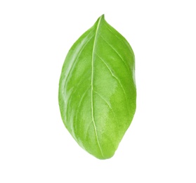 Photo of Fresh green basil leaf on white background