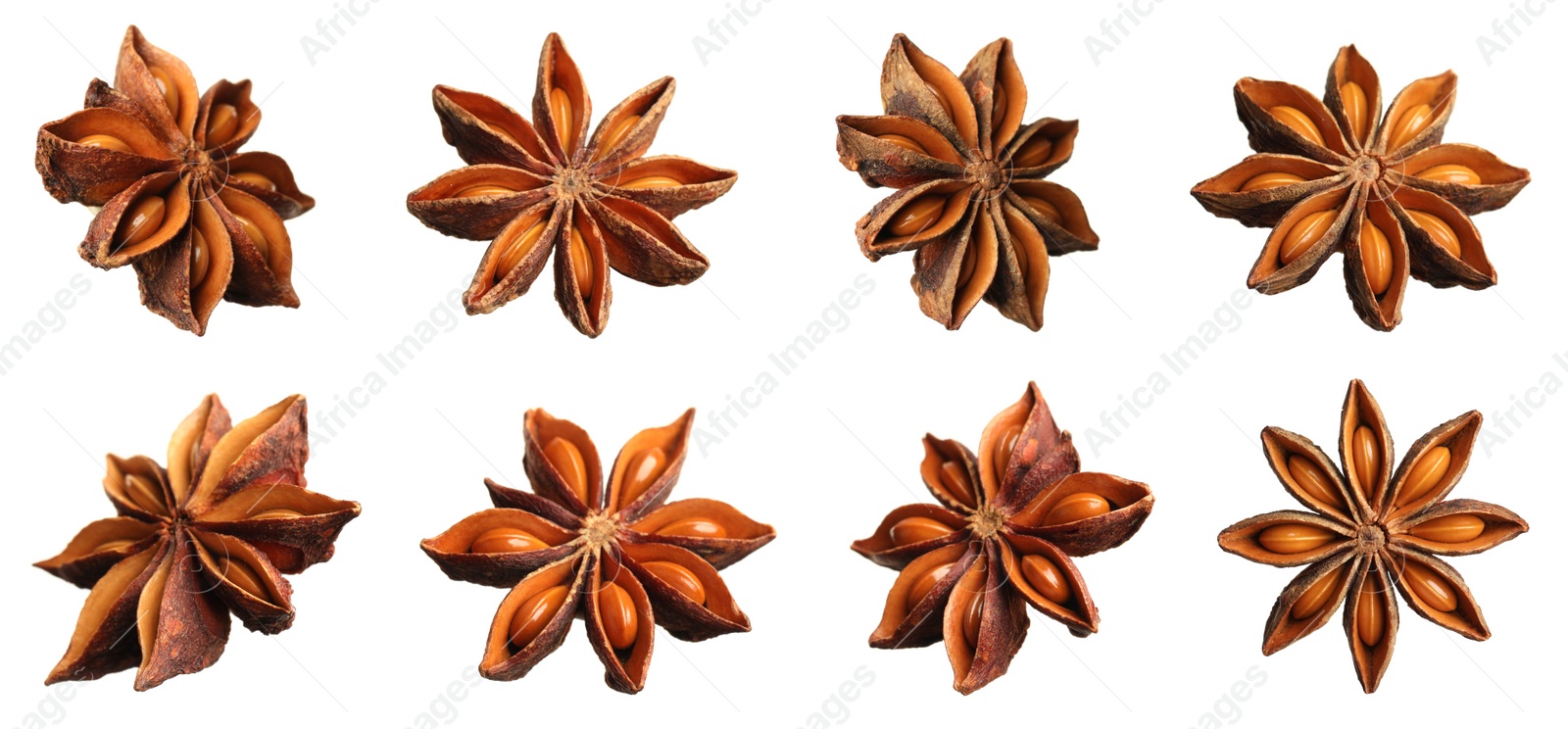 Image of Set with dry anise anise stars on white background. Banner design