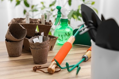 Photo of Many peat pots and gardening tools on wooden table. Growing vegetable seeds