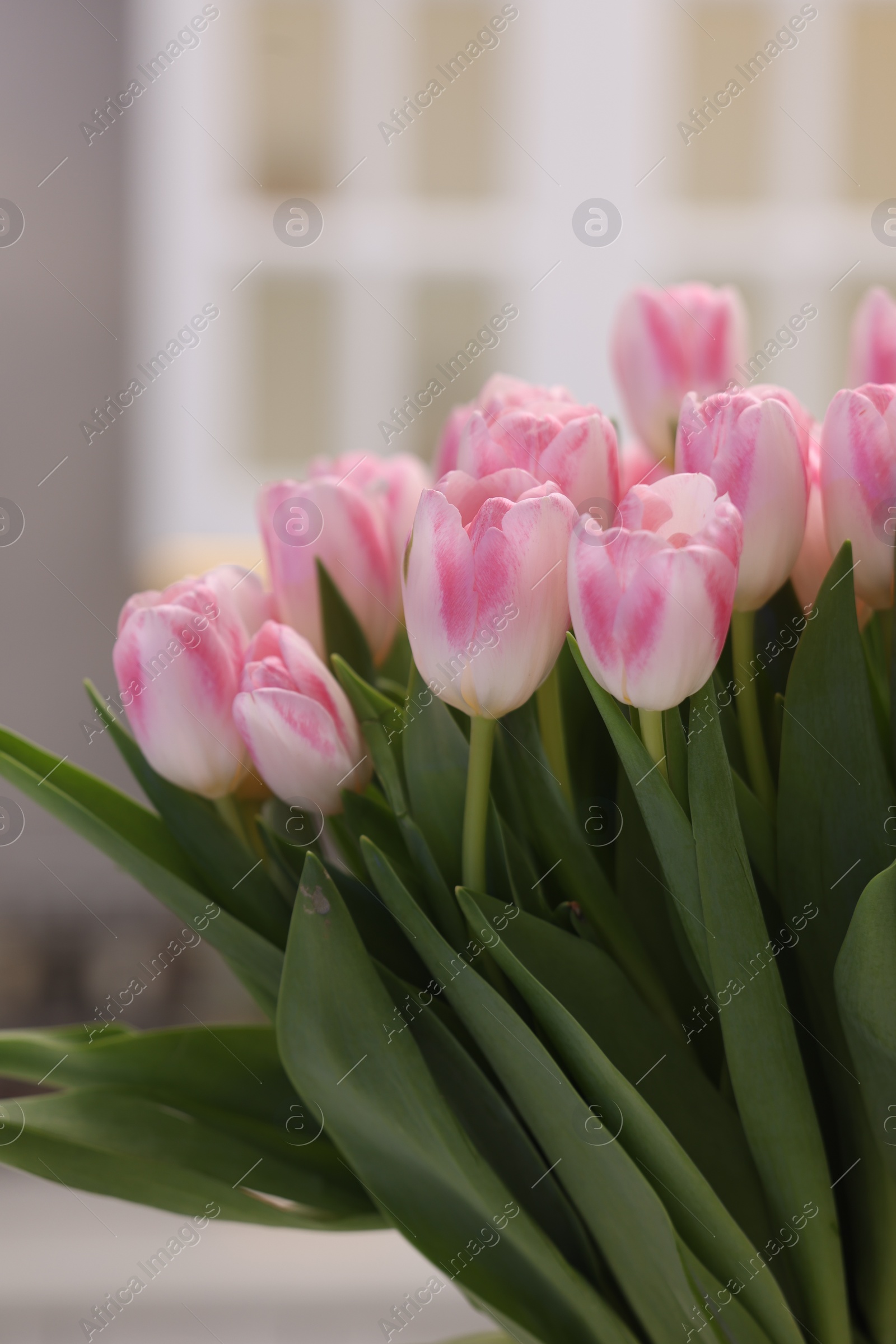 Photo of Beautiful bouquet of fresh pink tulips in kitchen, closeup