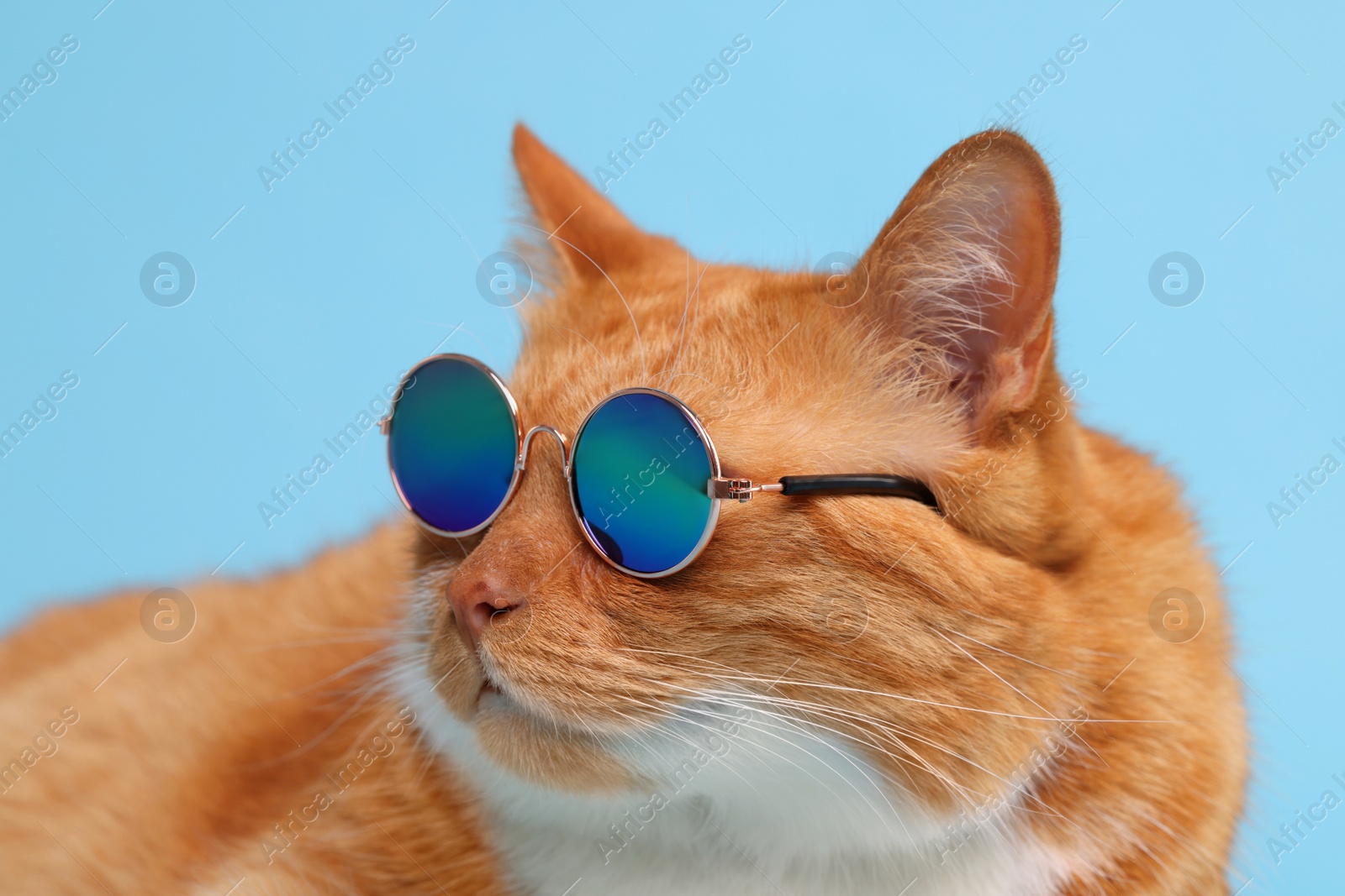 Photo of Portrait of cute ginger cat in stylish sunglasses on light blue background, closeup