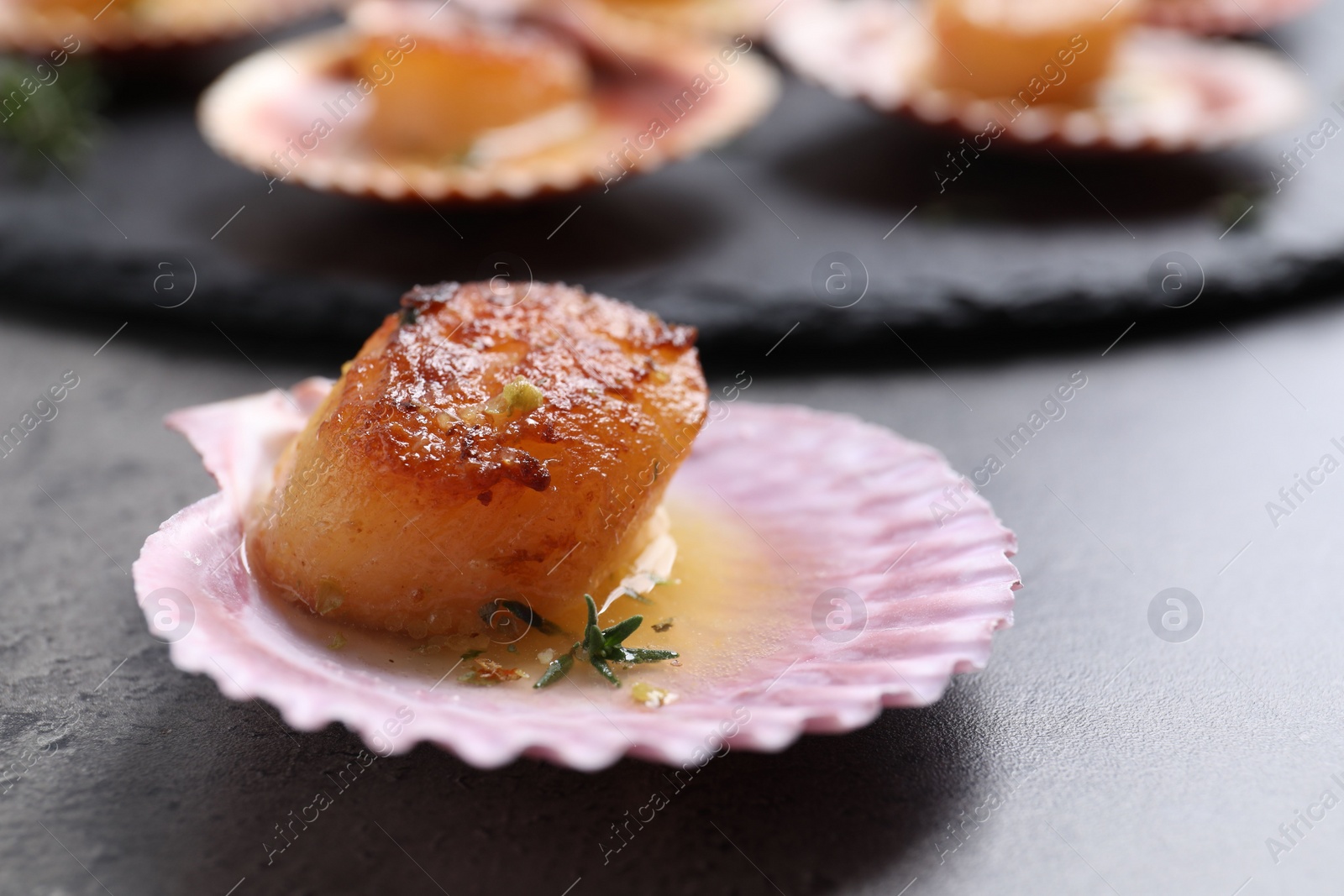 Photo of Delicious fried scallop in shell on grey table, closeup