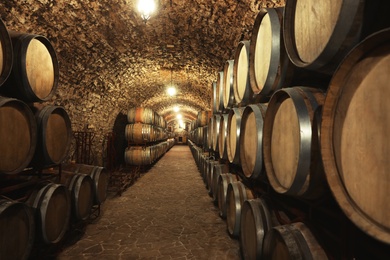 Photo of Wine cellar interior with large wooden barrels