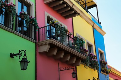 Buildings with beautiful windows, balconies and potted flowers