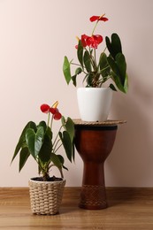Photo of Beautiful anthurium in pots on floor indoors. House plants