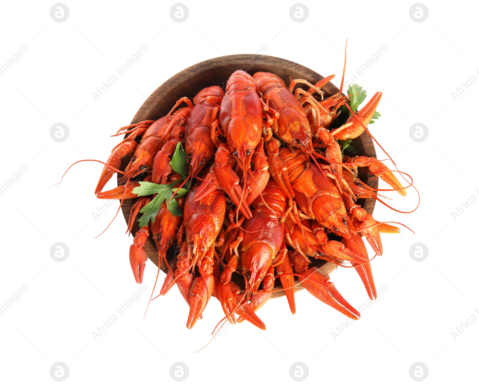 Photo of Bowl with delicious boiled crayfishes isolated on white, top view