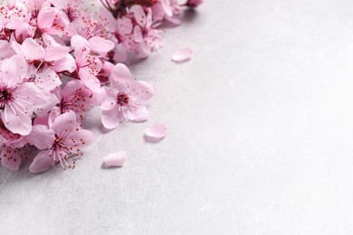 Photo of Sakura tree branch with beautiful pink blossoms on light stone table, closeup. Space for text