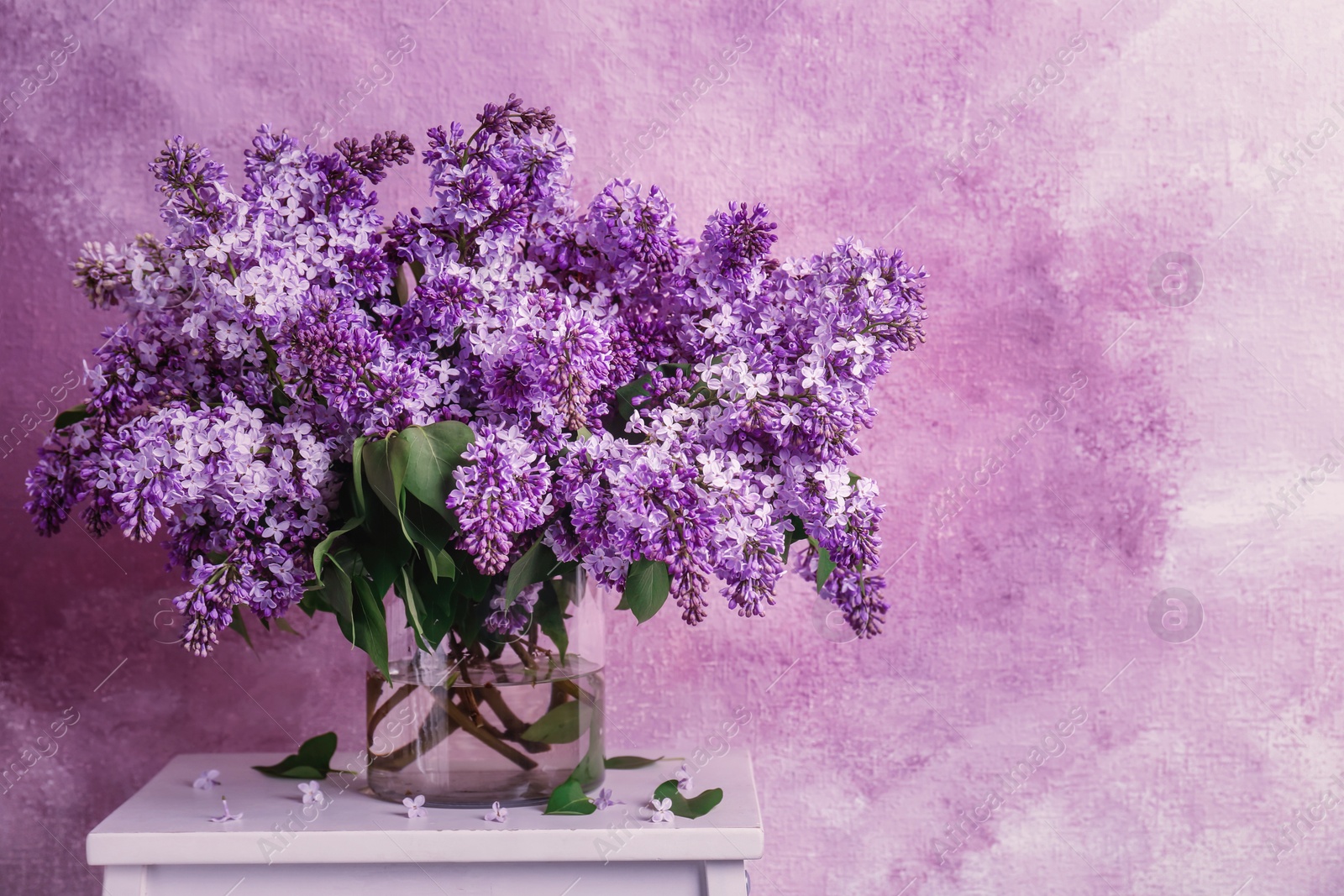 Image of Vase with blossoming lilac on table against color background. Spring flowers