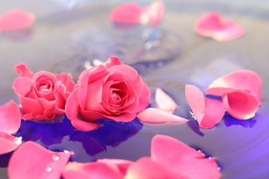 Photo of Pink roses and petals in water, closeup