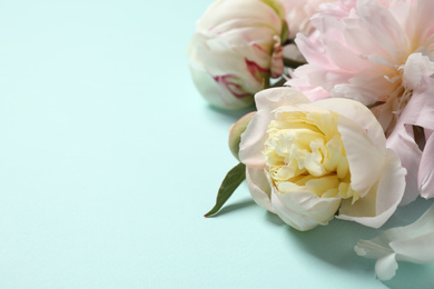 Beautiful peonies on light blue background, closeup. Space for text