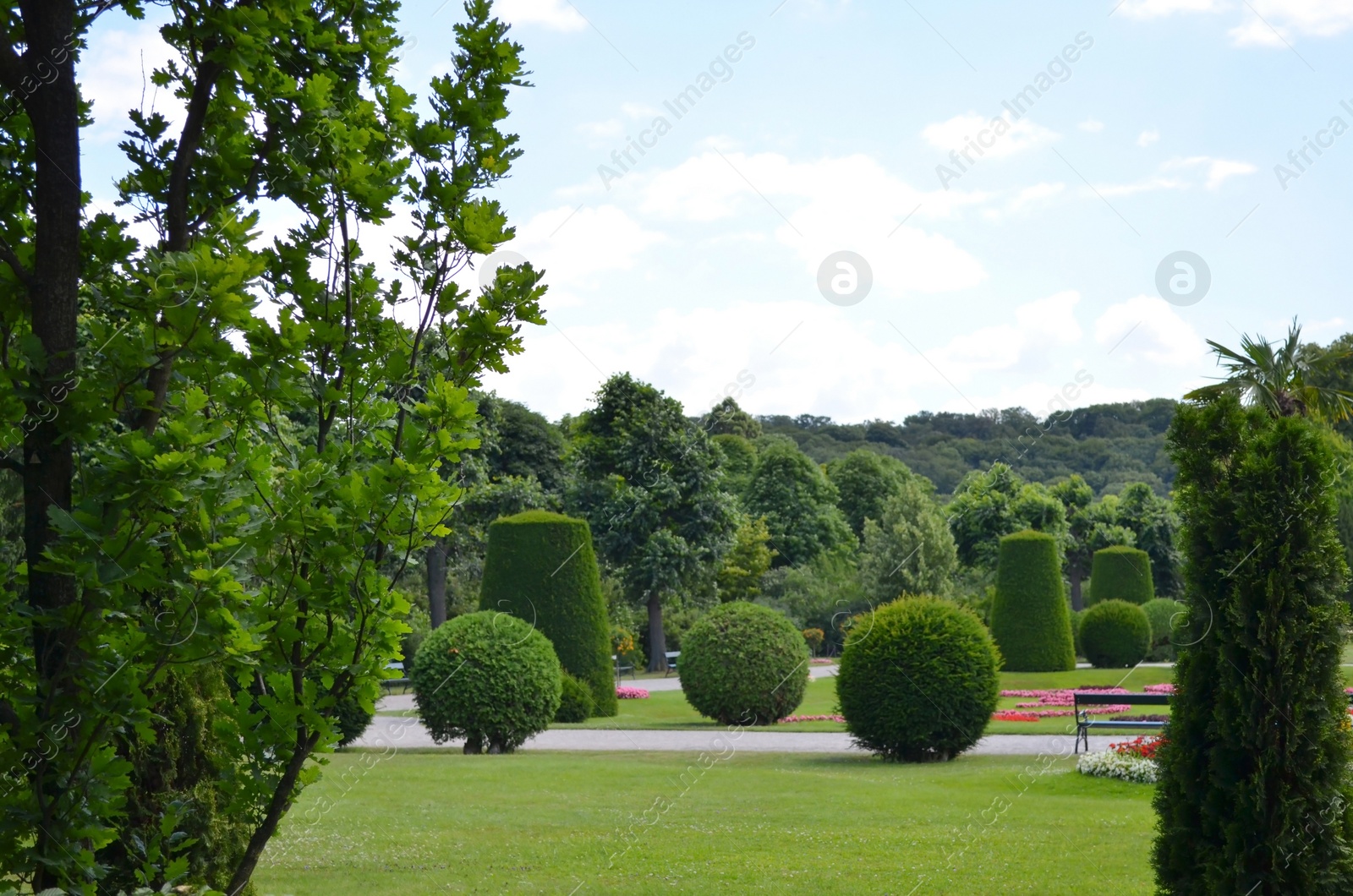 Photo of VIENNA, AUSTRIA - JUNE 19, 2018: Picturesque view of Schonbrunn Palace park