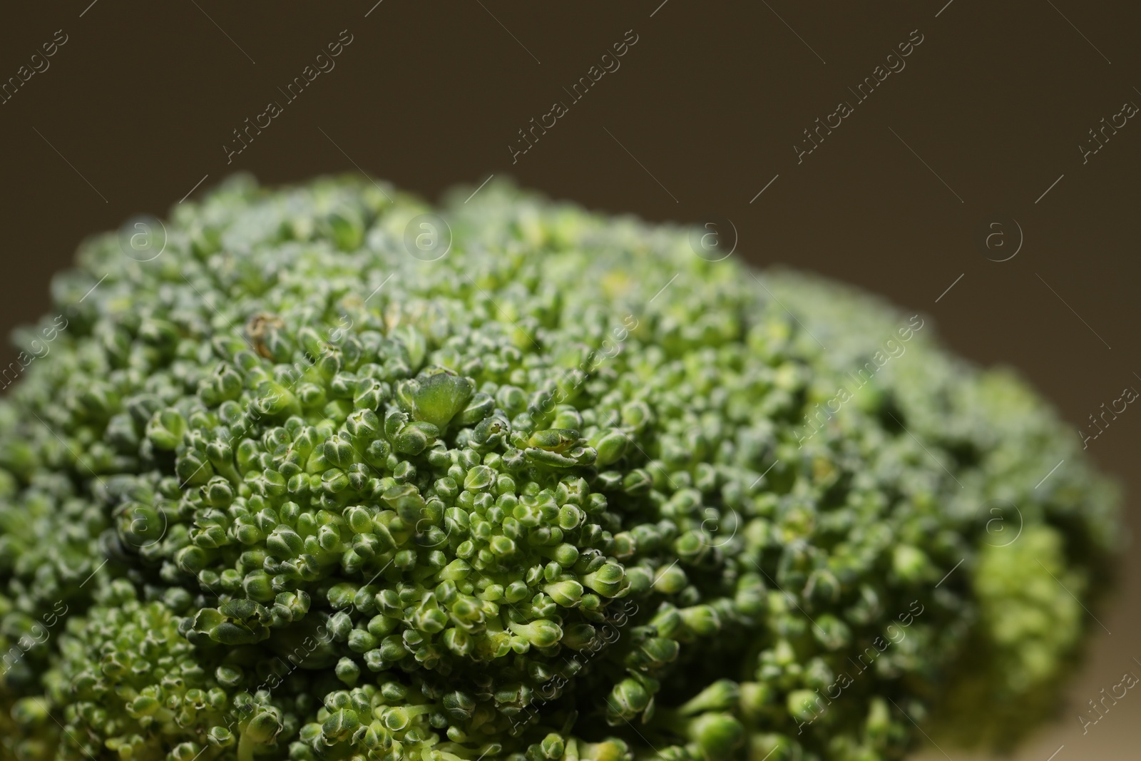 Photo of Closeup view of green fresh raw broccoli