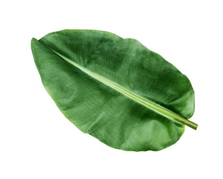 Photo of Fresh green banana leaf on white background. Tropical foliage