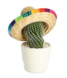 Cactus with Mexican sombrero hat isolated on white