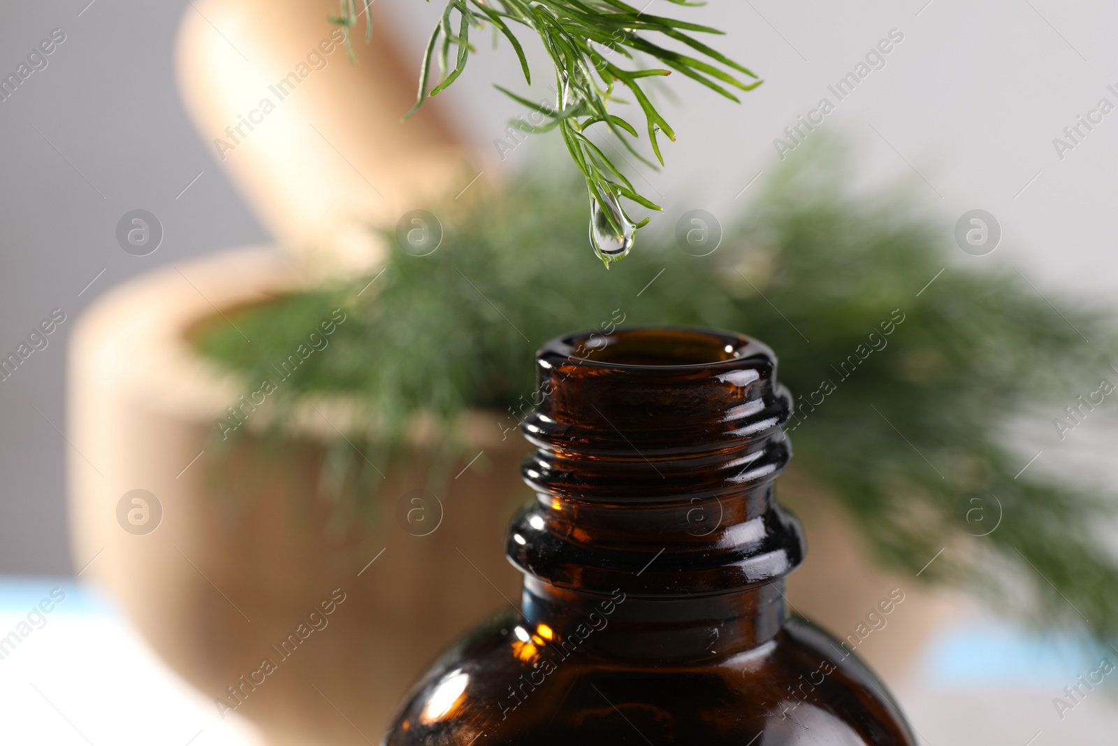 Photo of Dripping essential oil from dill into bottle on blurred background, closeup