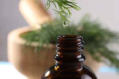 Photo of Dripping essential oil from dill into bottle on blurred background, closeup